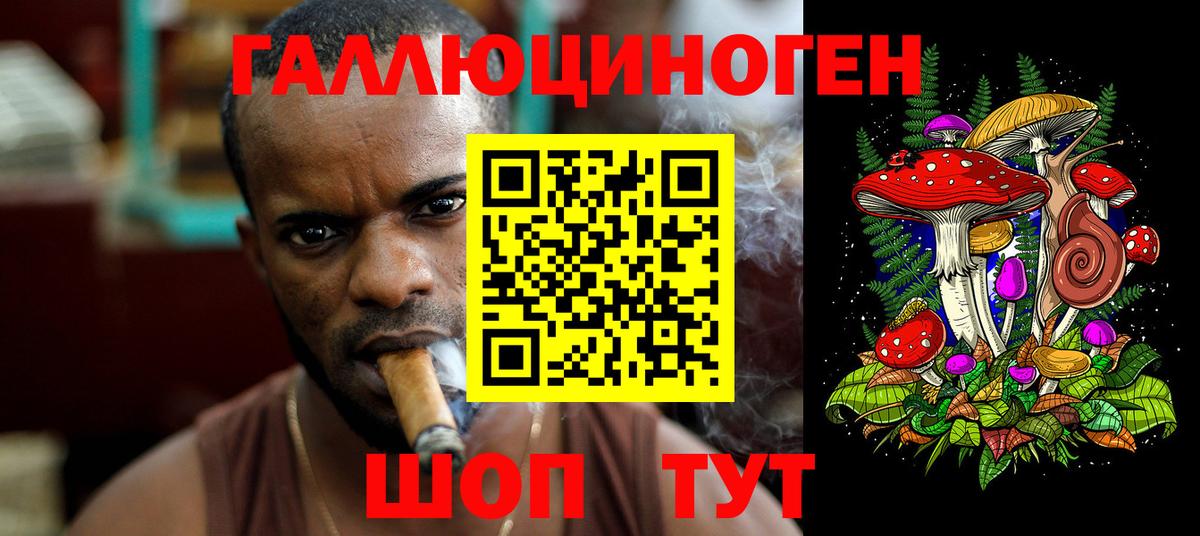 где продают   Псилоцибиновые грибы Cubensis  Вход с VPN  Псилоцибиновые грибы Psilocybe  Среднеуральск 