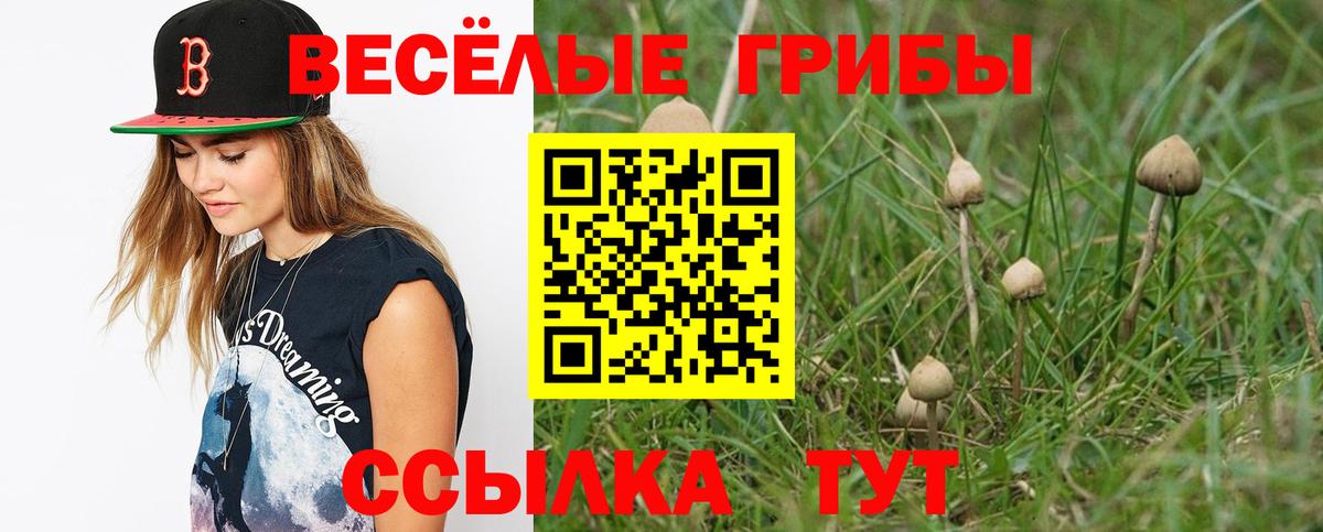 Псилоцибиновые грибы Cubensis Среднеуральск